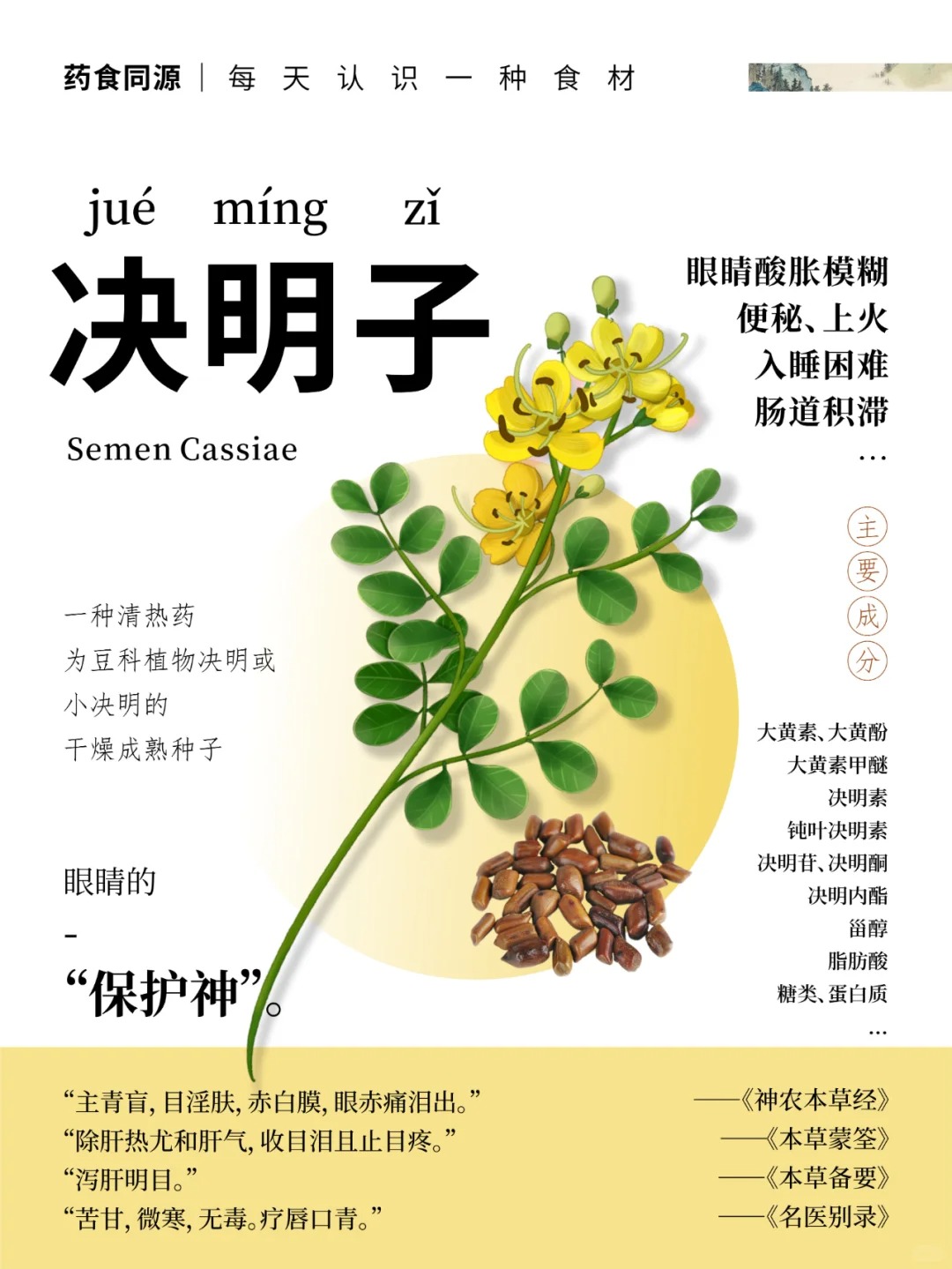 👁决明子｜眼睛的天然守护者。🌿 清肝明目，千年草本智慧结晶。古法传承：《本草纲目》载其"益肾明目"之功。苦甘相伴，给双眼一份自然呵护